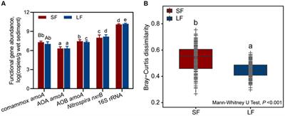 Unraveling the important role of comammox Nitrospira to nitrification in the coastal aquaculture system